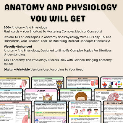 200+ Anatomy and Physiology Flashcards | Nursing Notes | Digital Download