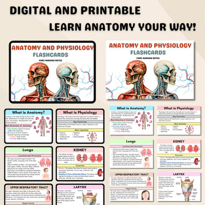 200+ Anatomy and Physiology Flashcards | Nursing Notes | Digital Download