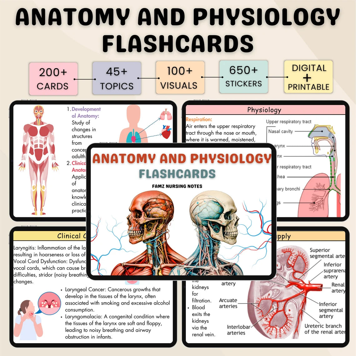 200+ Anatomy and Physiology Flashcards | Nursing Notes | Digital Download