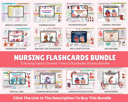 200+ Anatomy and Physiology Flashcards | Nursing Notes | Digital Download