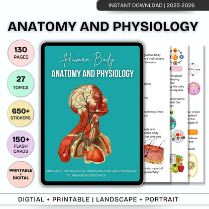 Comprehensive Nursing Notes Bundle | 2025 Edition | Digital Download